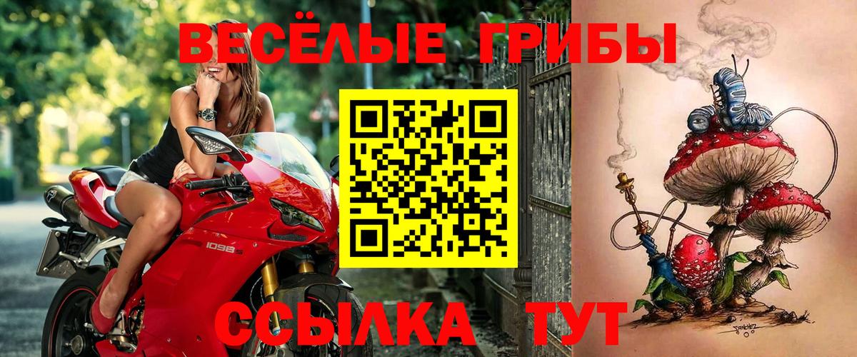 Галлюциногенные грибы мухоморы  Вход с VPN  Псилоцибиновые грибы прущие грибы  Сухой Лог 