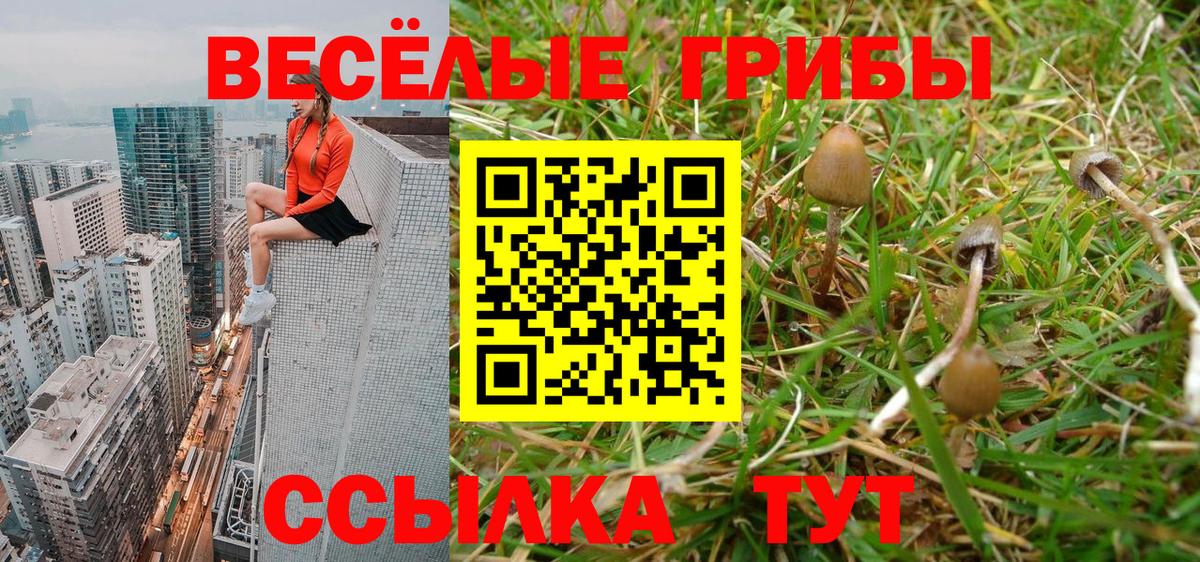 ТГК  МАРИХУАНА  Кокаин  Сухой Лог  ЭКСТАЗИ  ГАШИШ  Каннабис  Где купить наркотики?  АМФ кристаллы  Меф МЯУ МЯУ кристаллы  Вход с VPN 